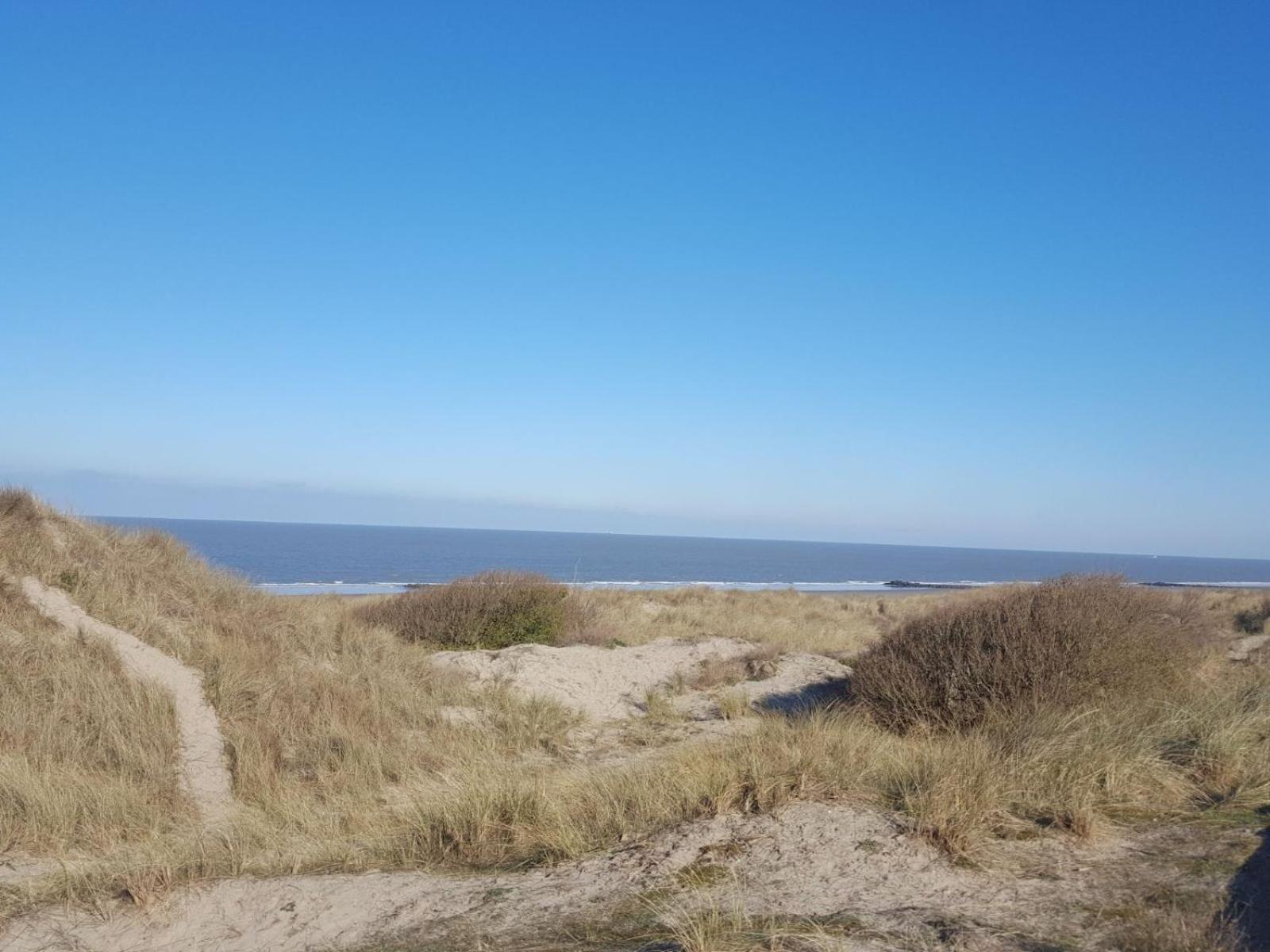 Zeepieper Bredene