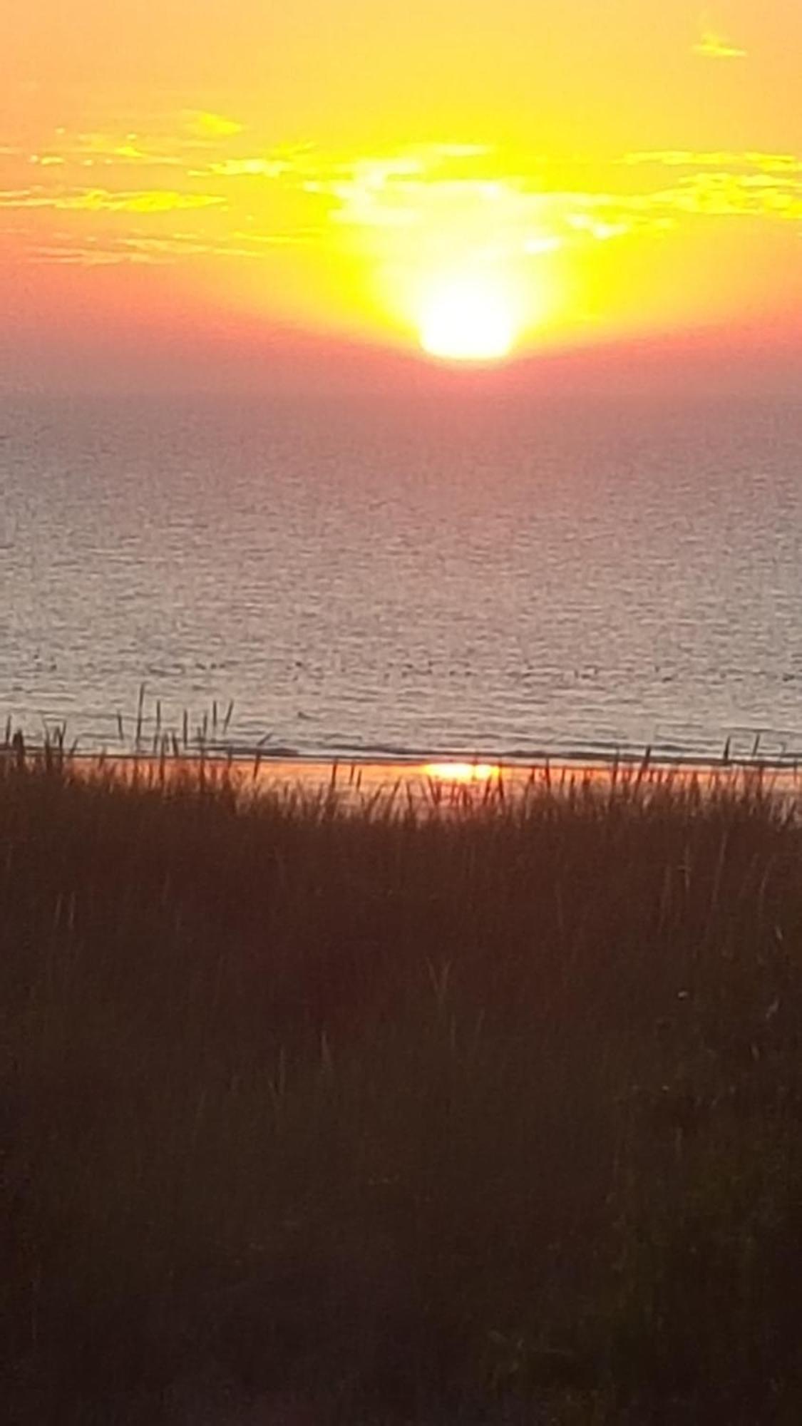 Zeepieper Holiday home Bredene