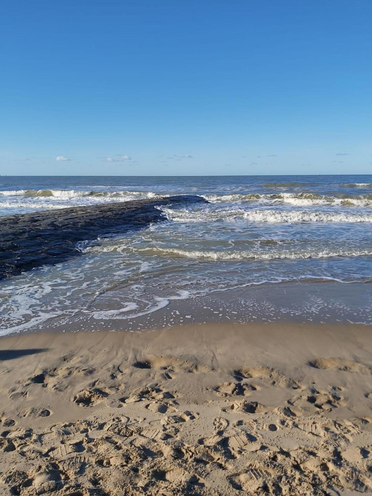 Zeepieper Ferienhaus Bredene